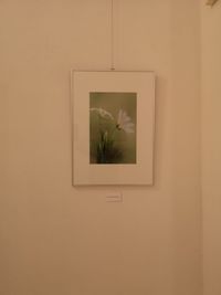Bild einer Ausstellung II - Sabine Grimm